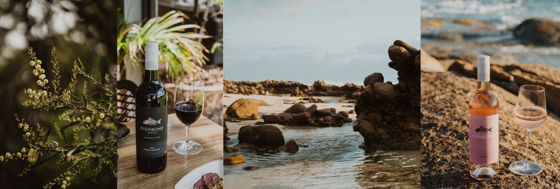 Vineyard and Winery update from Fishbone