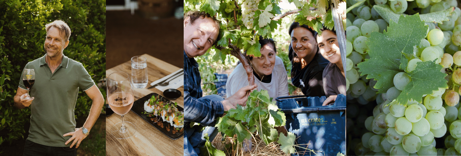 Vintage 2023 Updates from our Winemaker, Stuart Pierce